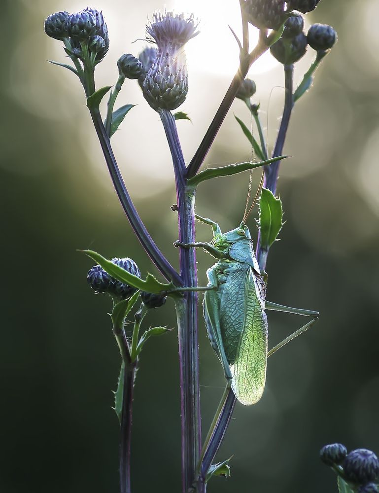 Photograph by Полина Васеева