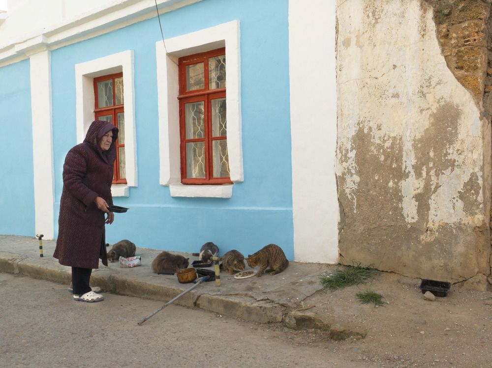 Photograph by Марина Рунова