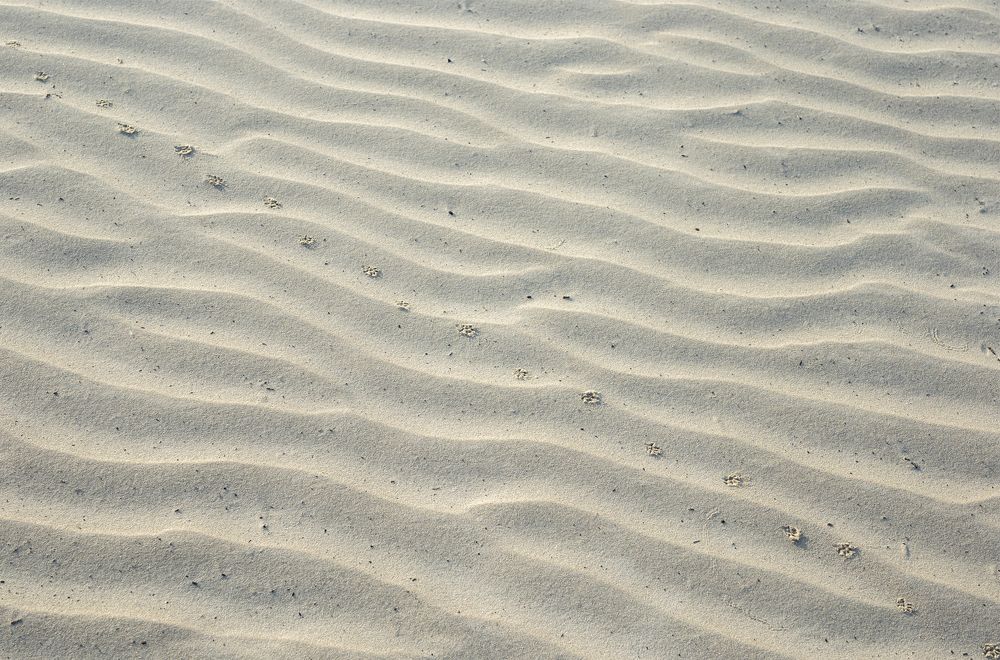 Оставив след