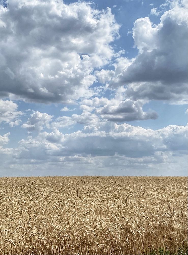 Photograph by Ива