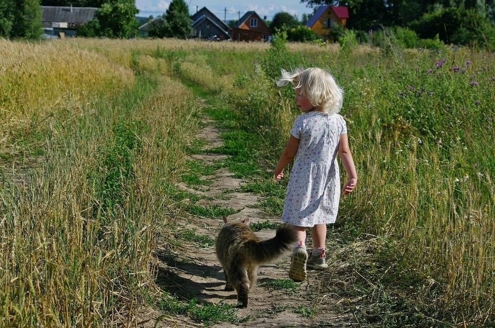 Photograph by Александр Челюканов