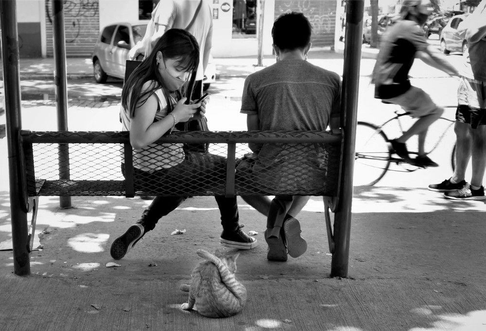 Photograph by Juan Reyes