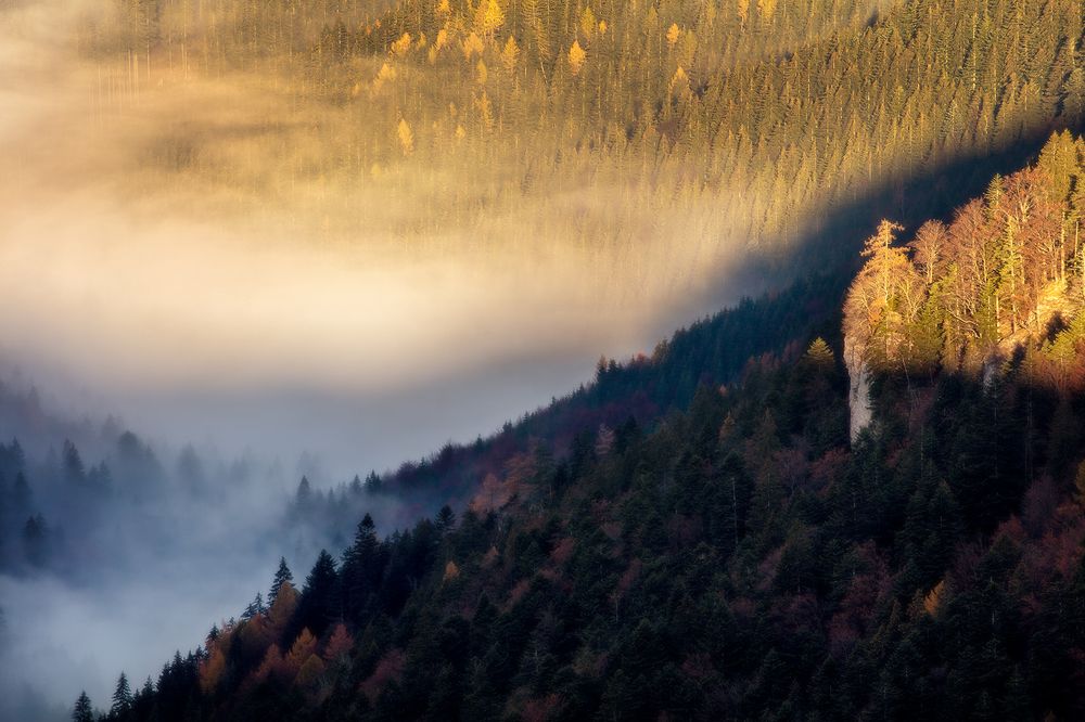 Mystery of Landscape XI