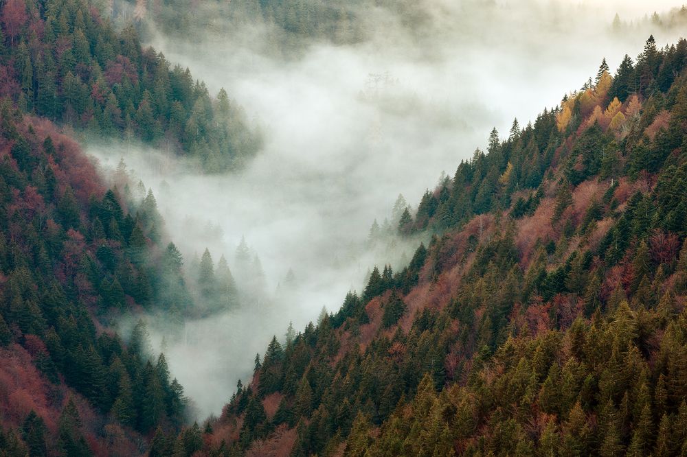 Mystery of Landscape XII