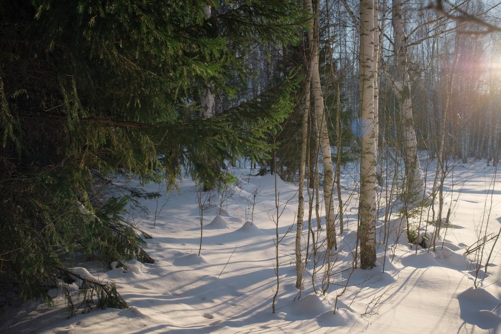 Зимняя сказка