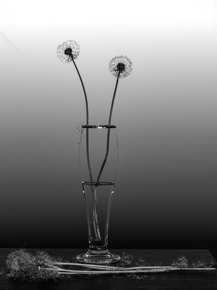 Photograph by Aleksandr Belov