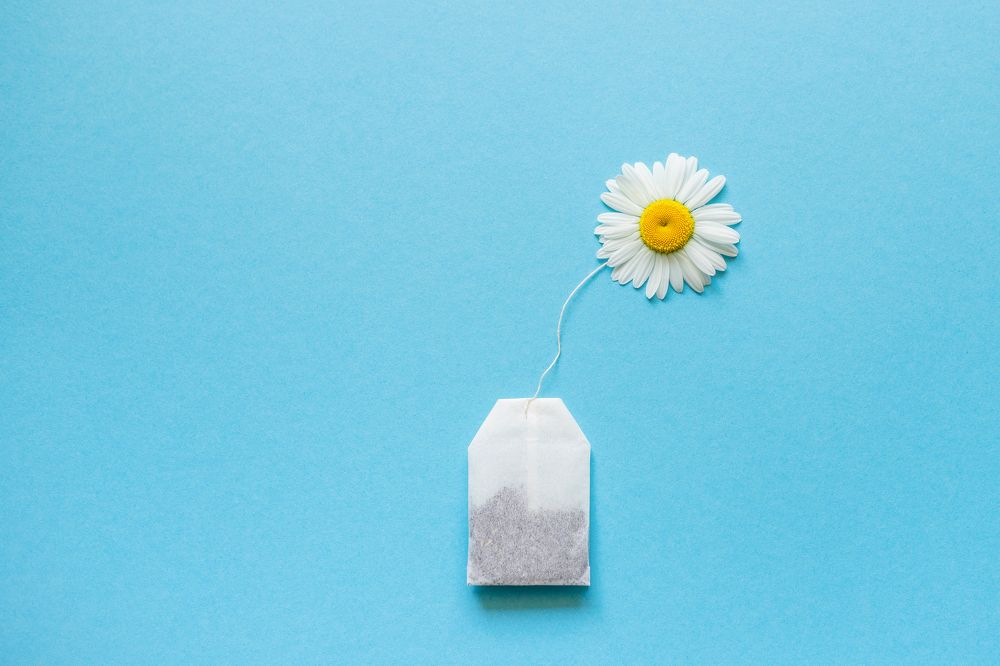 Фотография автора Елена Ельшина