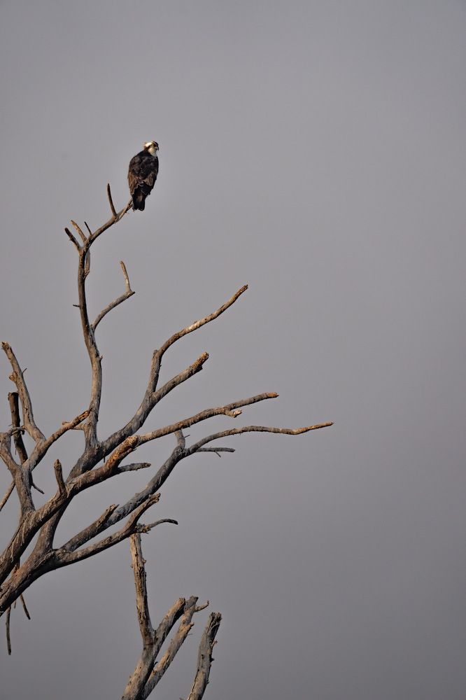 Photograph by Nitin Baste