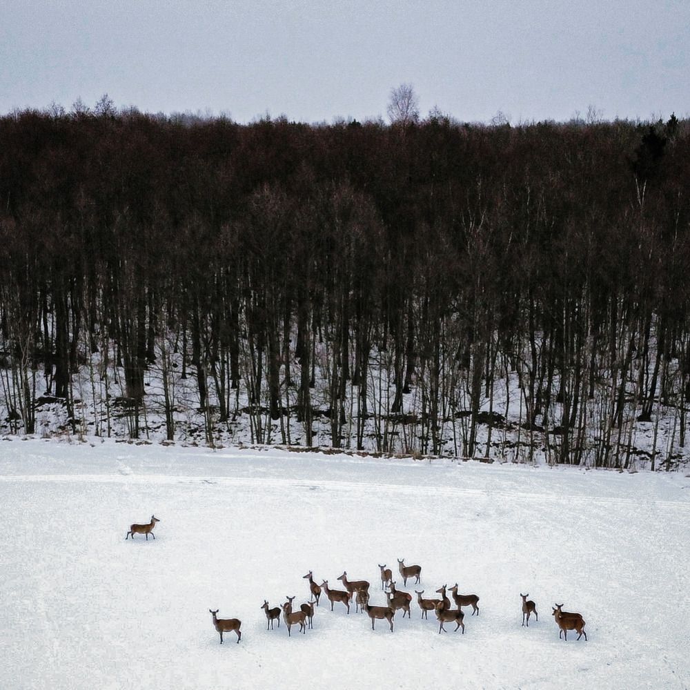 Photograph by Pavel Rudman