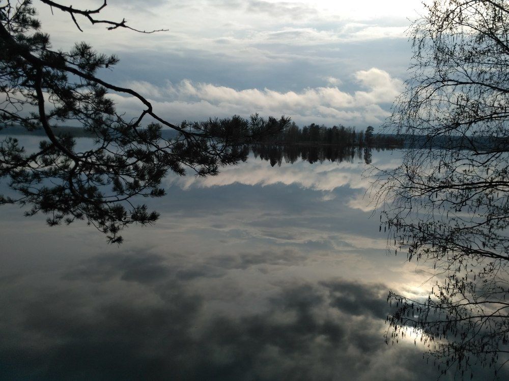 Photograph by Ирина Михайлова