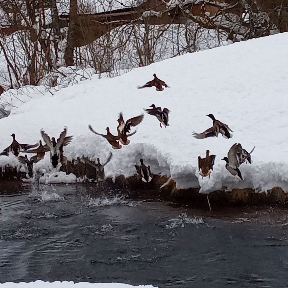 Photograph by Арина Сурсякова
