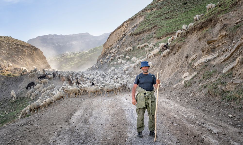 Двадцатый день перегона
