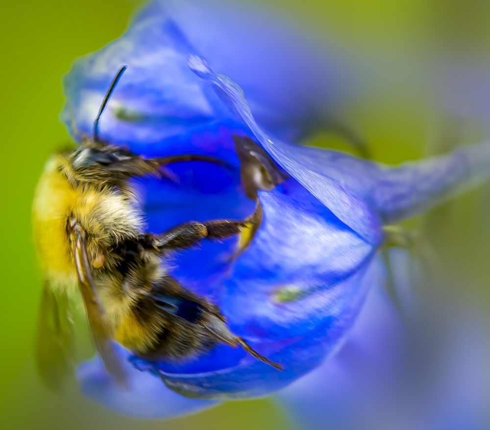 Photograph by Ольга Блохина