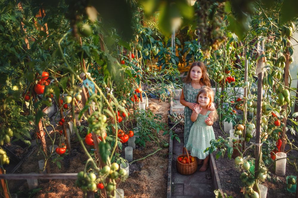 Photograph by Наталья Шкроб