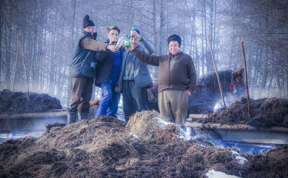 Friends on the manure hill