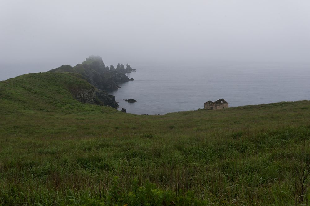 Photograph by Сыворотка Елена