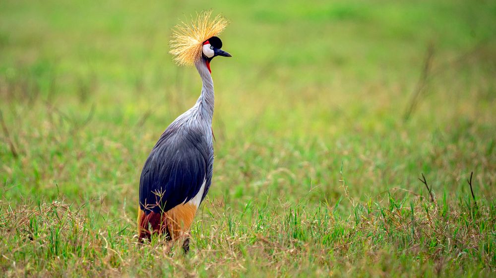 Photograph by Artem Khazov