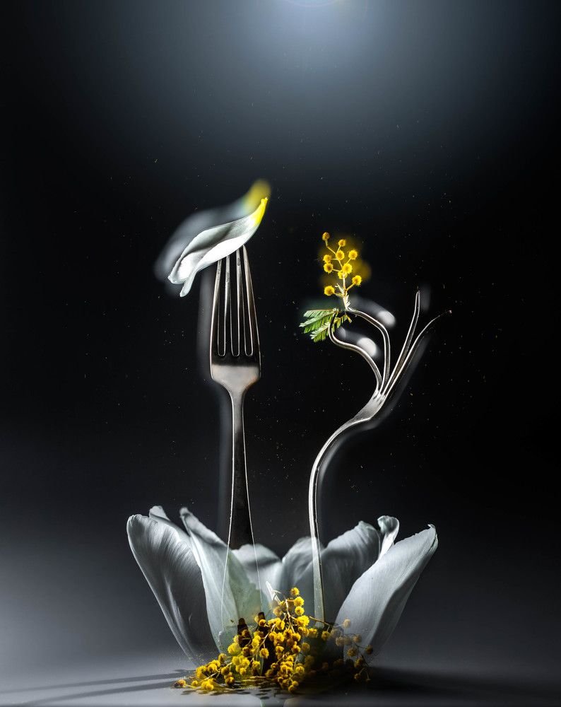 Photograph by Наталья Оконешникова