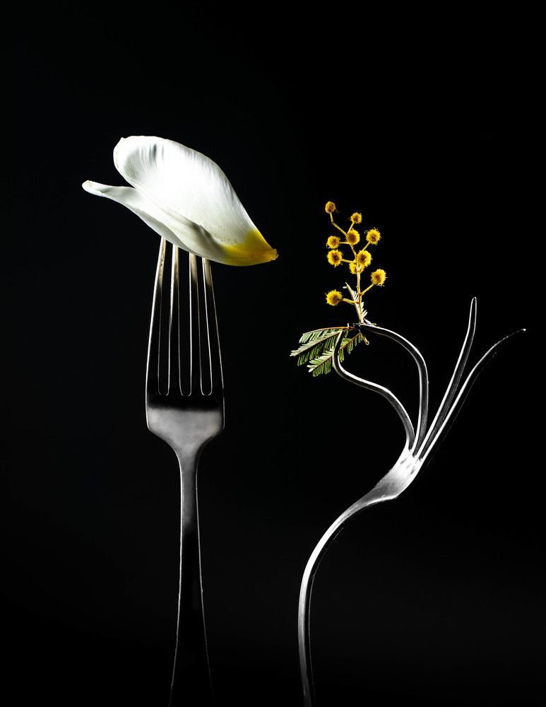 Photograph by Наталья Оконешникова