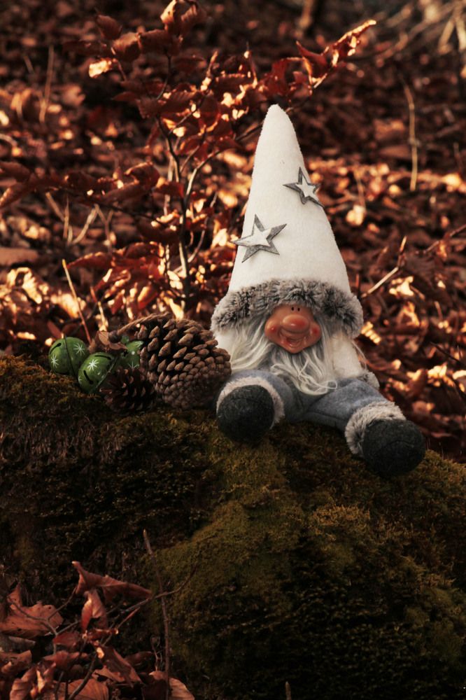 Photograph by Диана Ульянцева