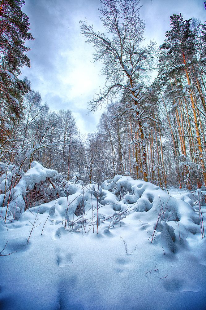 Photograph by Николай Феофанов