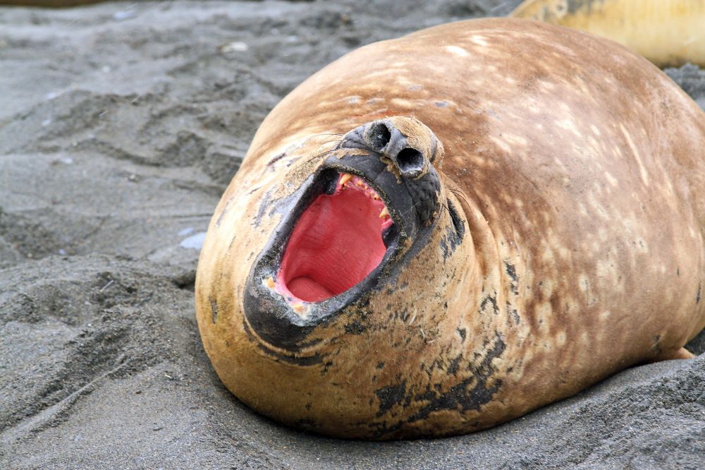 Photograph by Сергей ГОРДИЕНКО