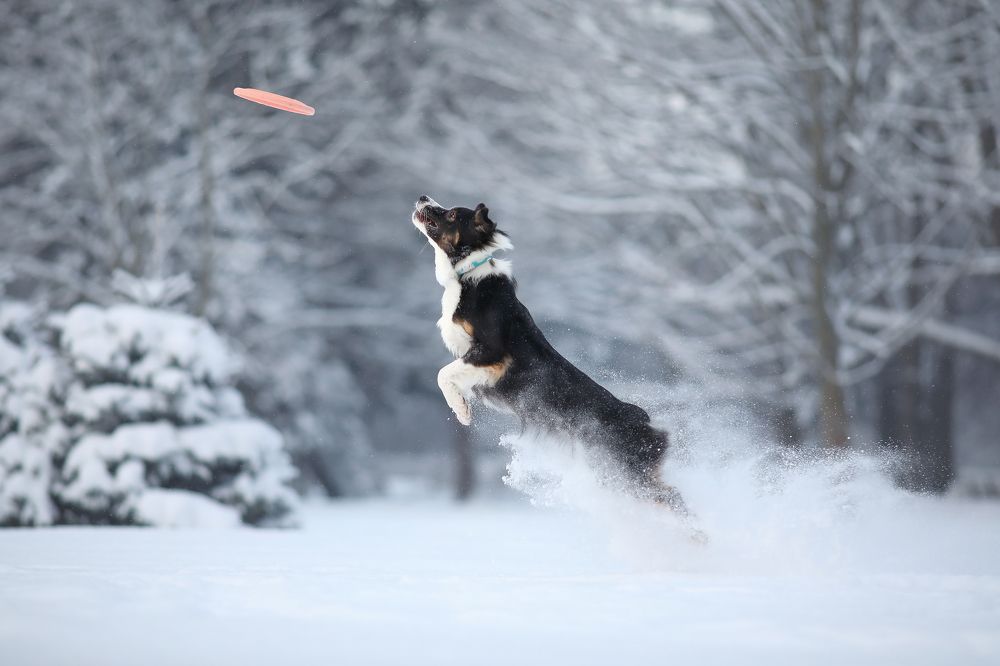 Photograph by Жаренко Евгения