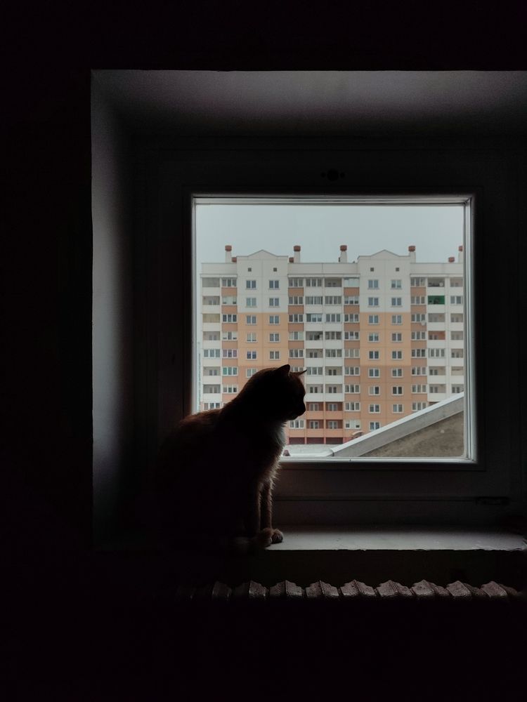 Photograph by Оксана