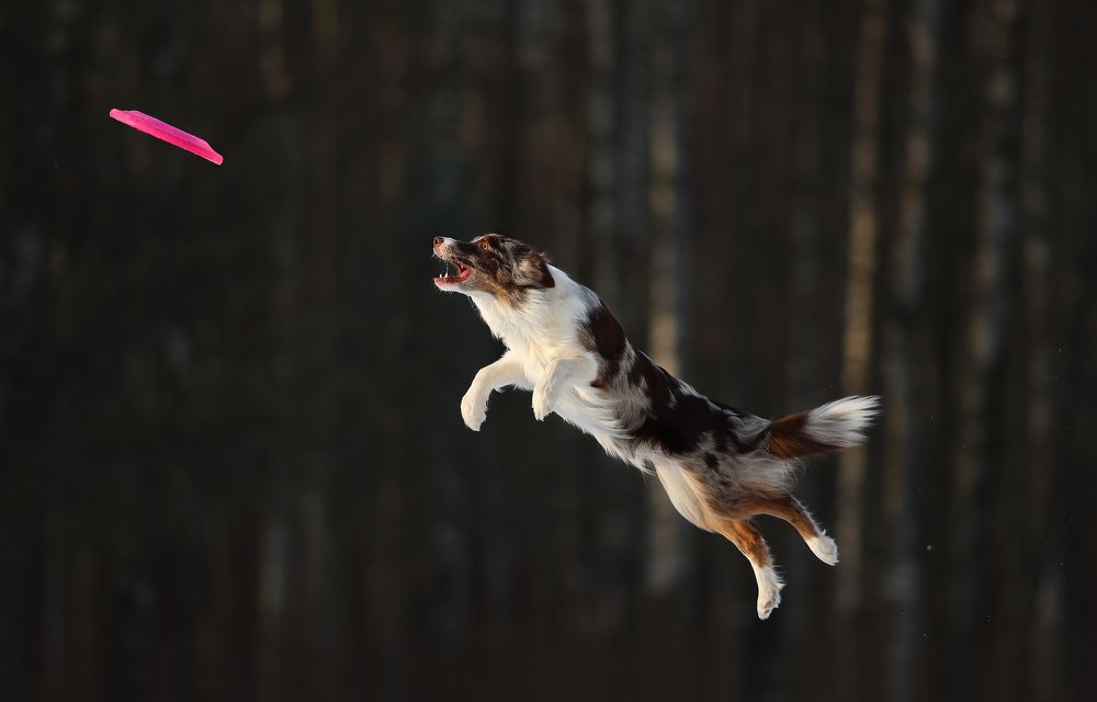 Photograph by Жаренко Евгения