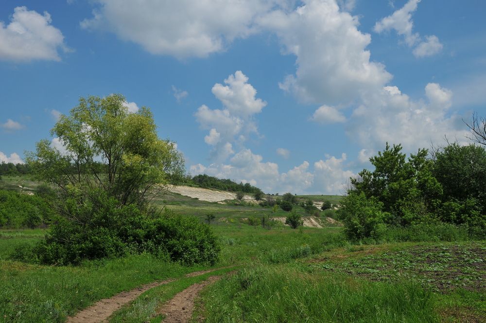 Photograph by Ирада Селиванова