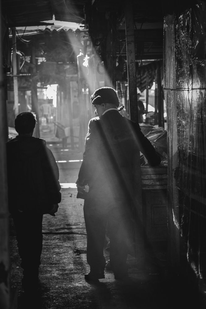 Photograph by Mehdi Hassanzadeh