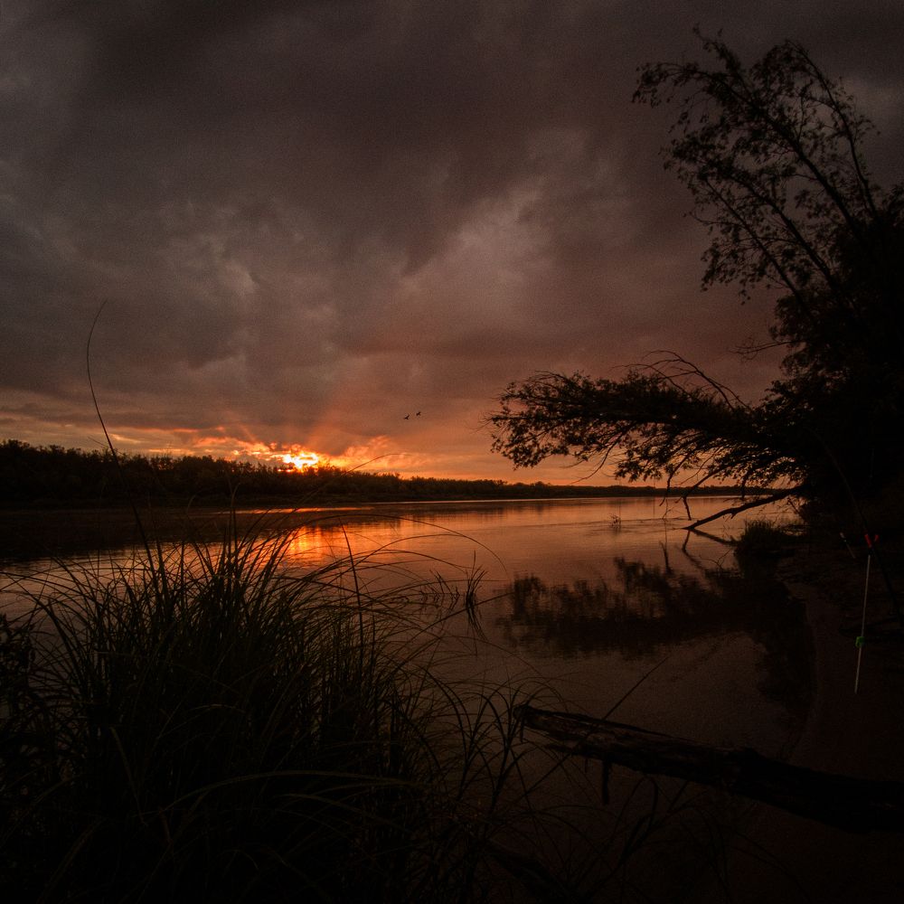 Photograph by Матвей Краузе