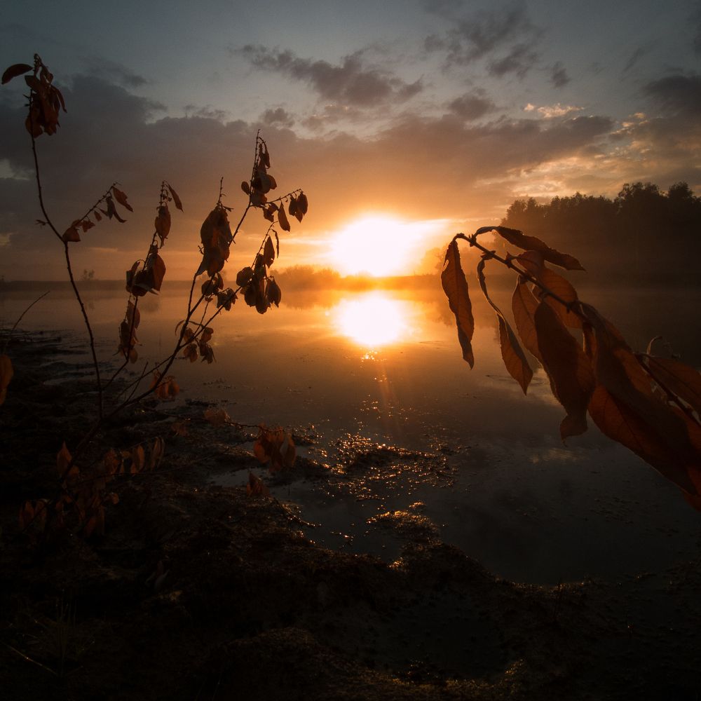 Photograph by Матвей Краузе