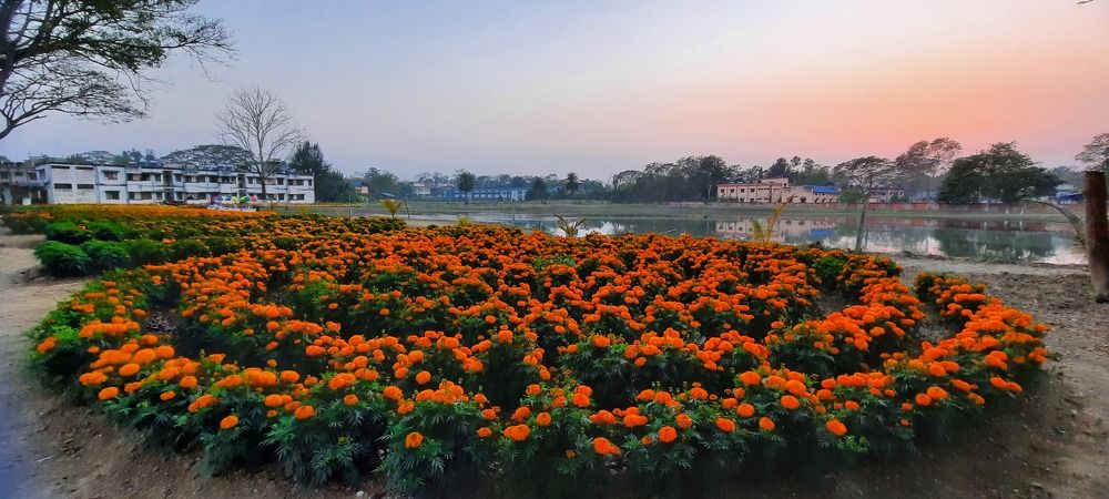 Photograph by Soumi Saha