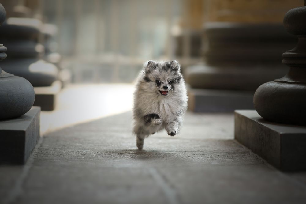 Photograph by Жаренко Евгения