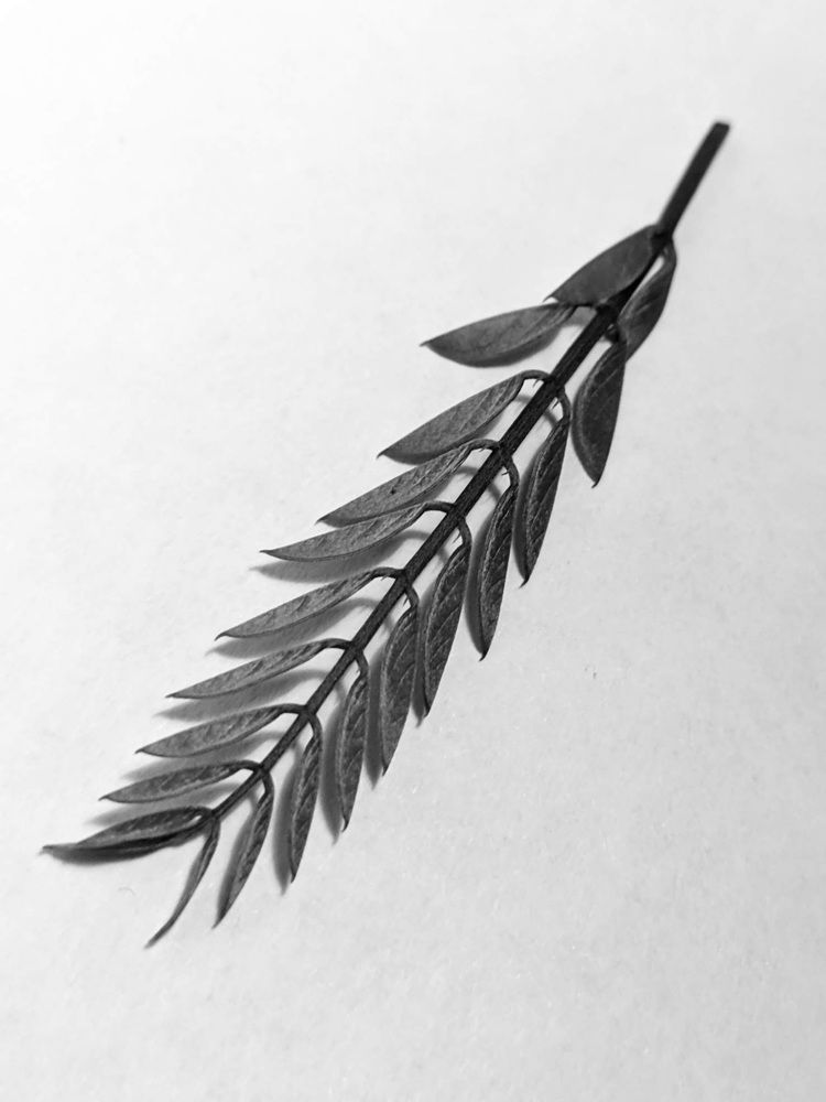 Photograph by Наталия