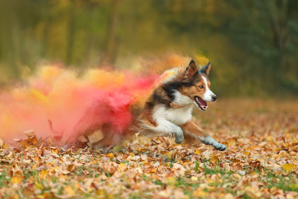 Photograph by Жаренко Евгения