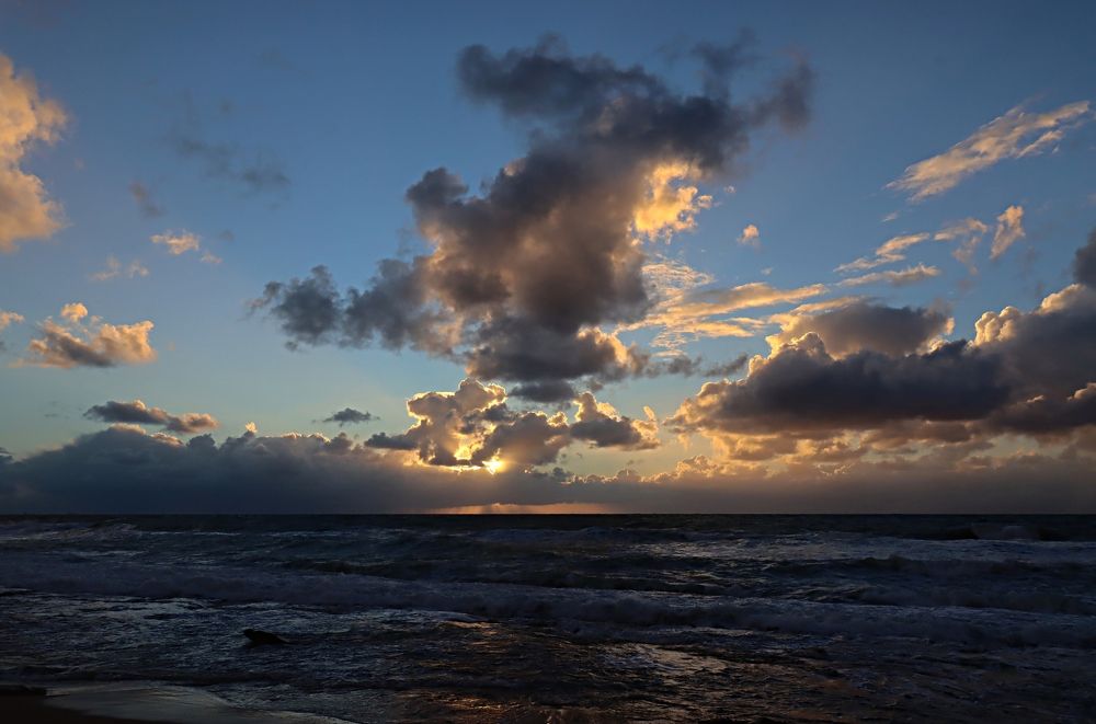 Photograph by Daniel Sharir