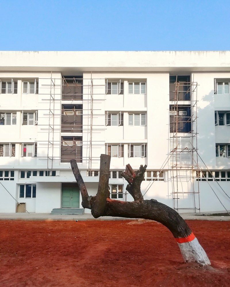 Photograph by VIGNESHWAR J