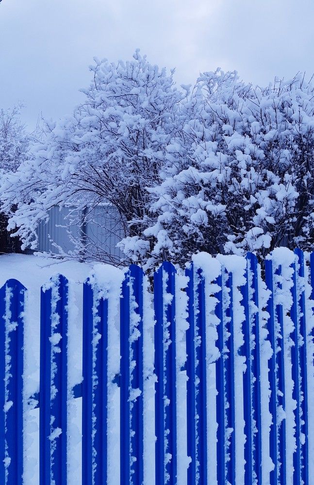 Фотография автора Ирина Лукьянчик