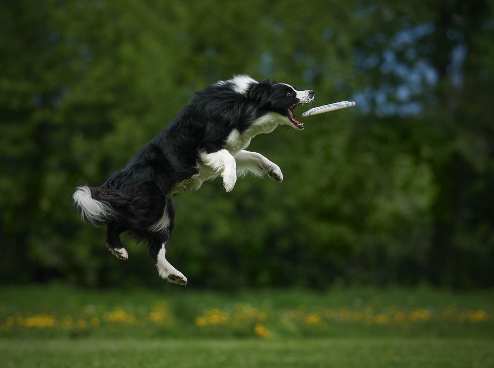 Photograph by Жаренко Евгения