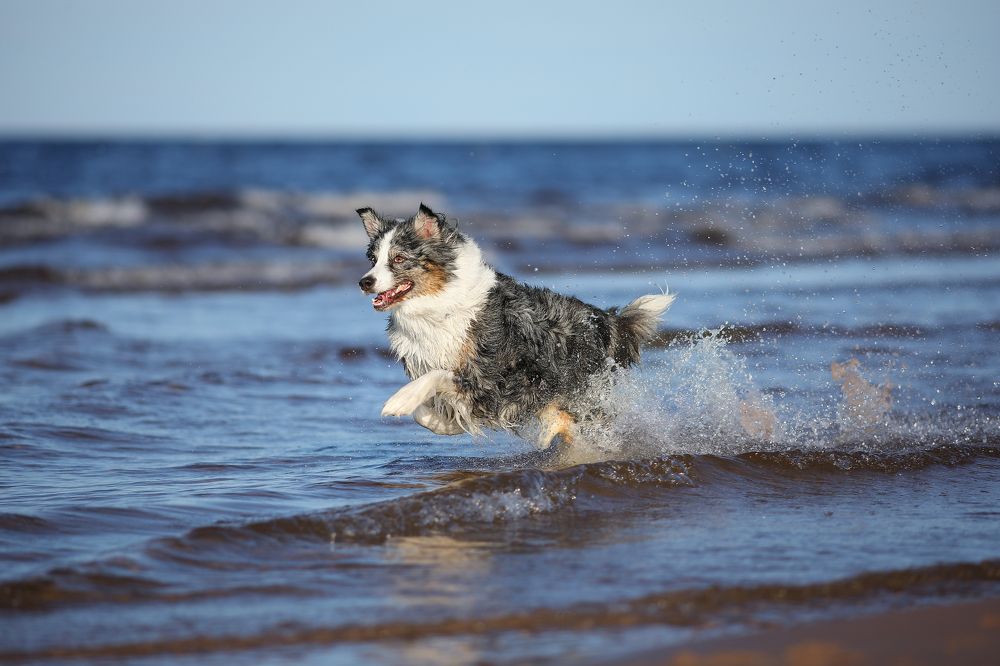 Photograph by Жаренко Евгения