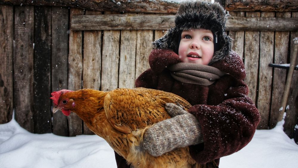 Photograph by Полина Ефимова