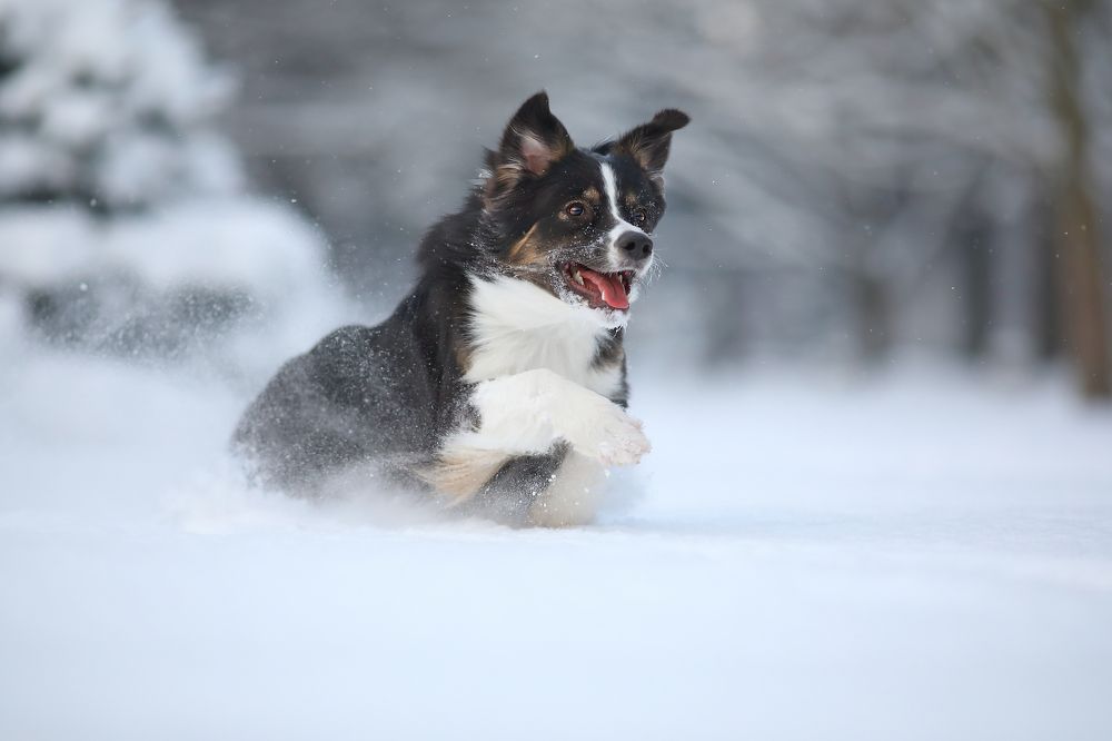 Photograph by Жаренко Евгения