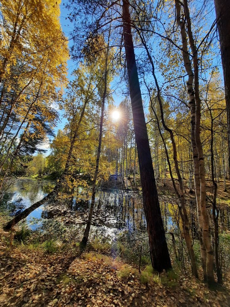 Photograph by Людмила Ермолаева