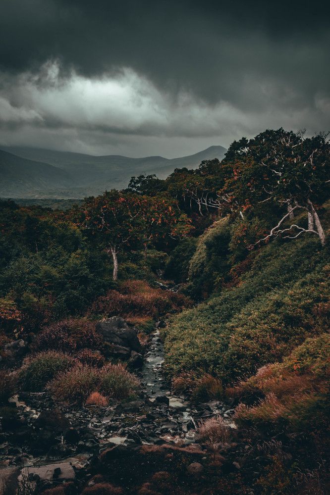 Photograph by Инна Кузьмичева