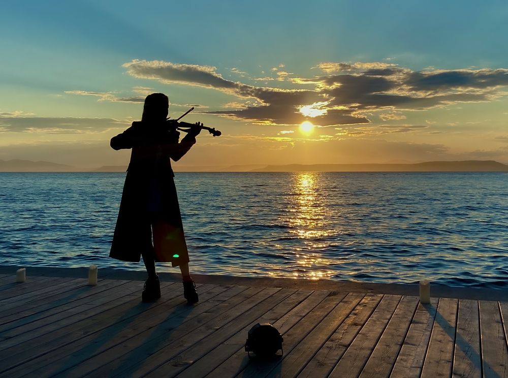 История одного музыканта