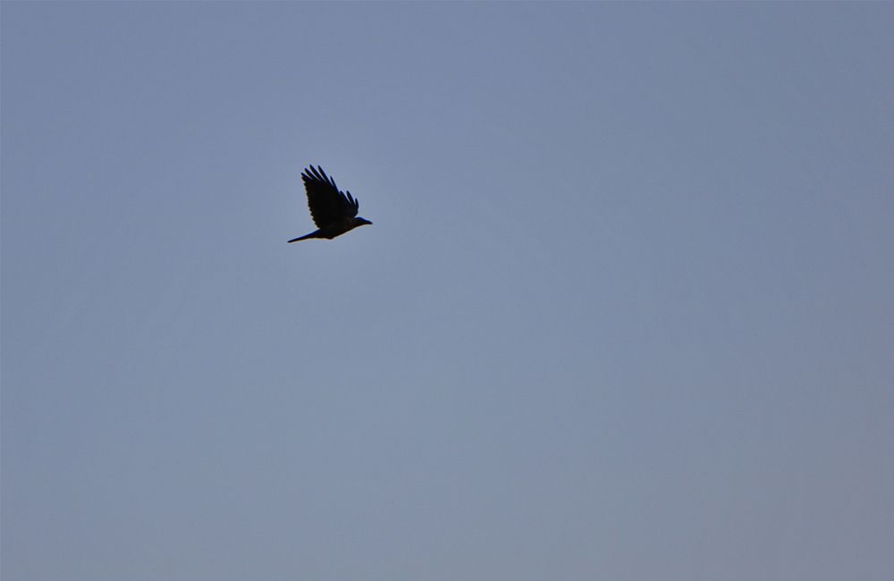 Photograph by Mohammad Ali Ataei Daryaei