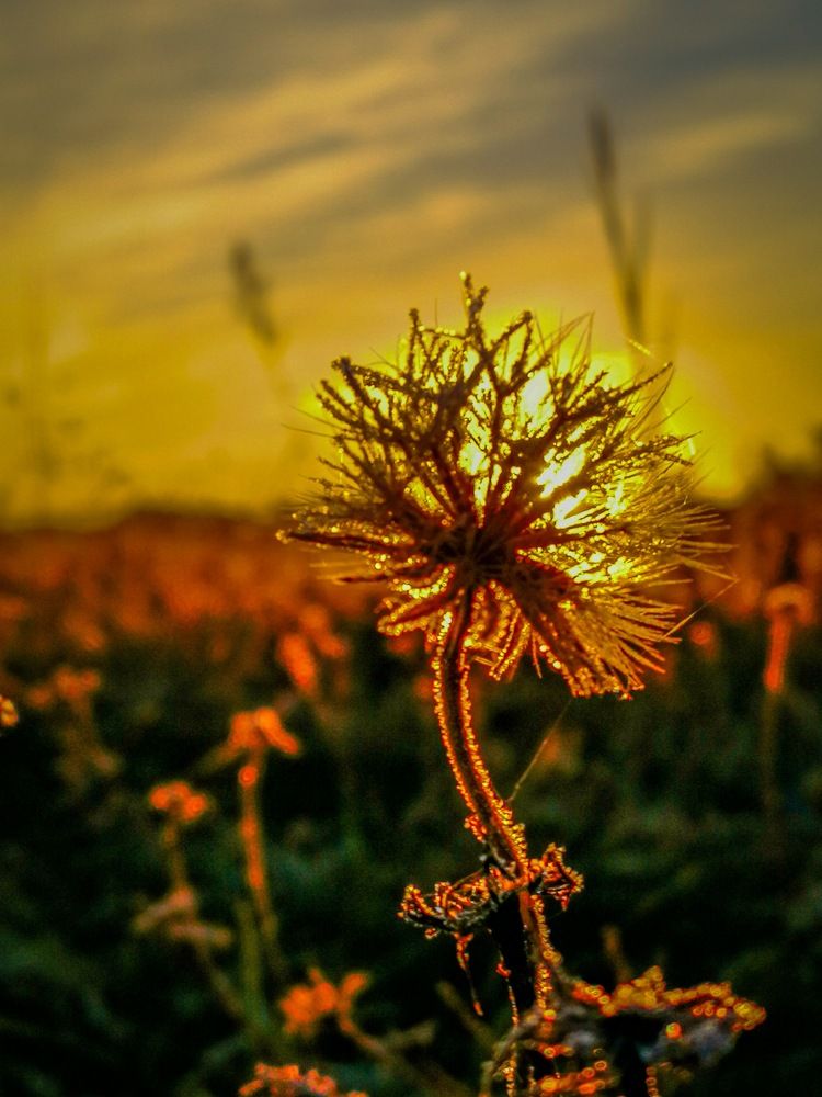 Photograph by Сергей Заглумин