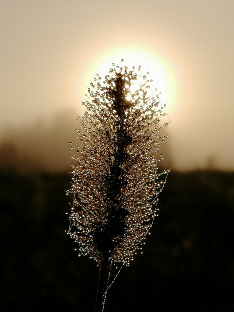 Photograph by Сергей Заглумин